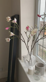 Single Pink Magnolia Branch