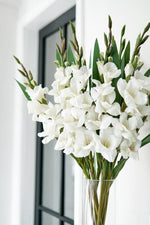 Set of 3 White Gladiolus - Edison & James
