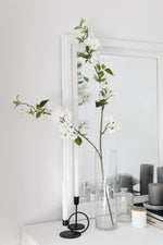 Single Premium White Cherry Blossom - Edison & James