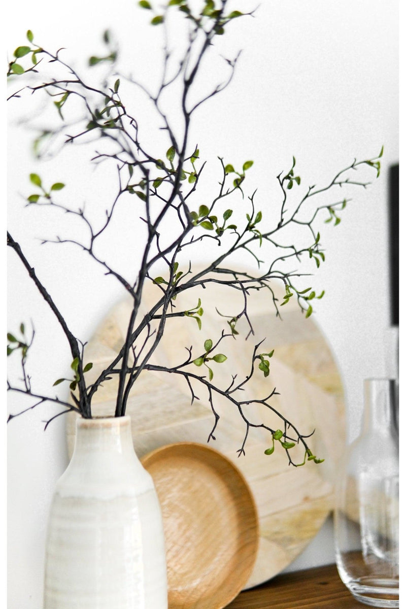 Wild Branch in Cream Ceramic Vase - Edison & James